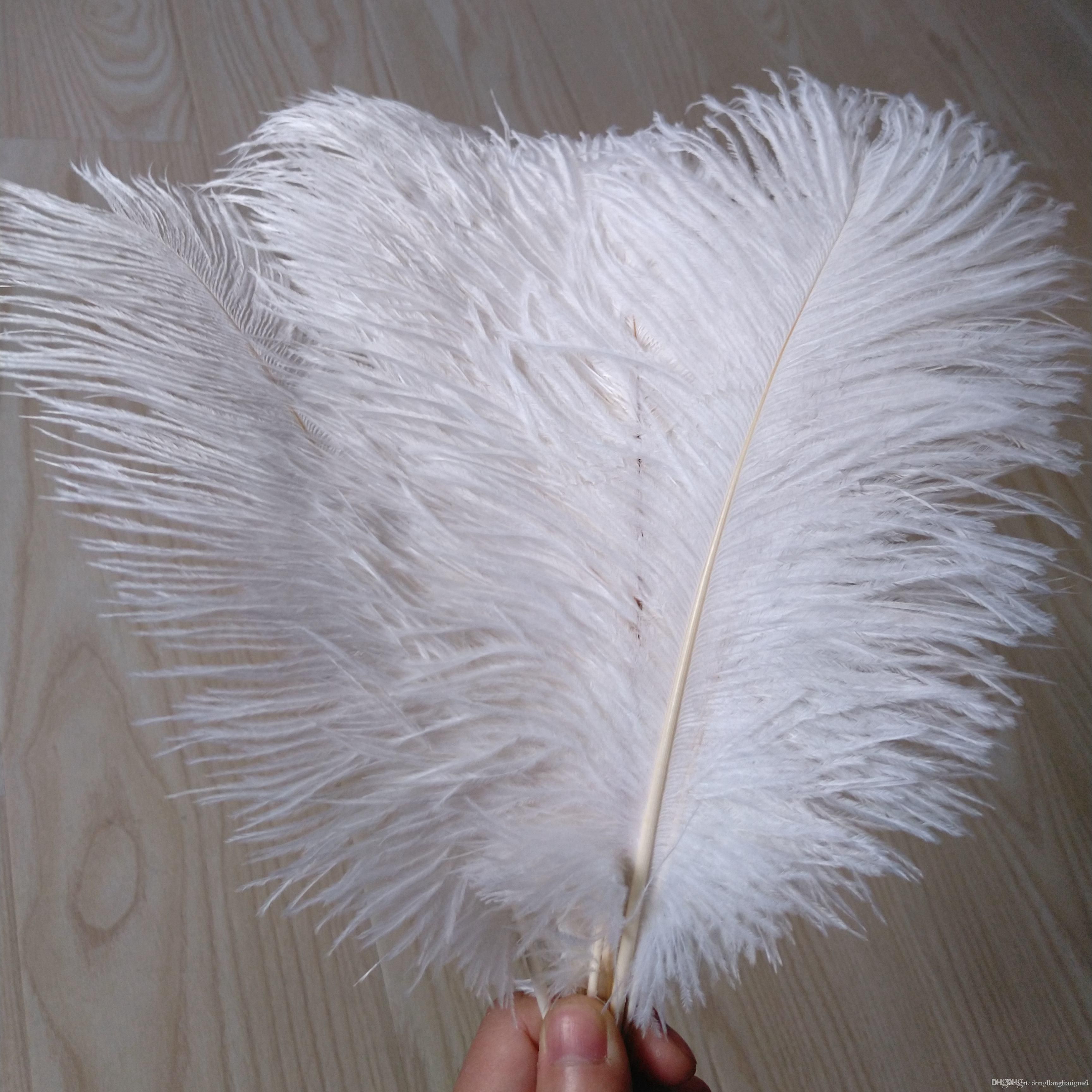 ivory ostrich feathers