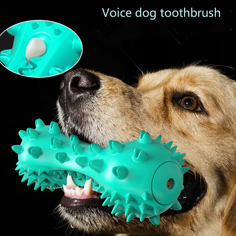 juguetes para perros amazon