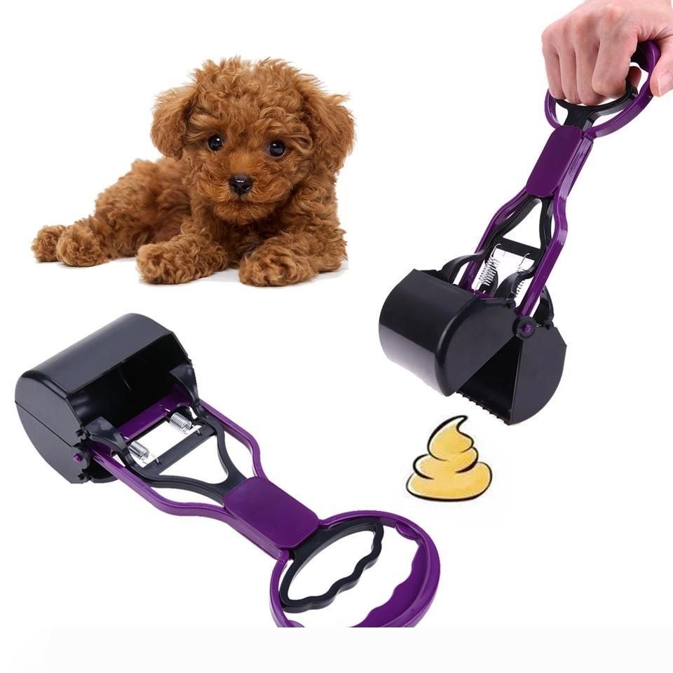 poop toy for dogs