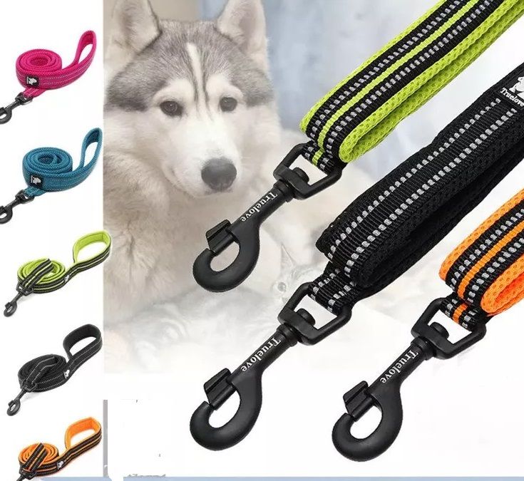 Are Bungee Leashes Suitable For Alaskan Husky