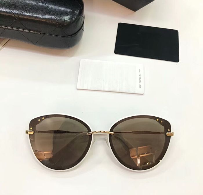 best sunglasses brands 2019