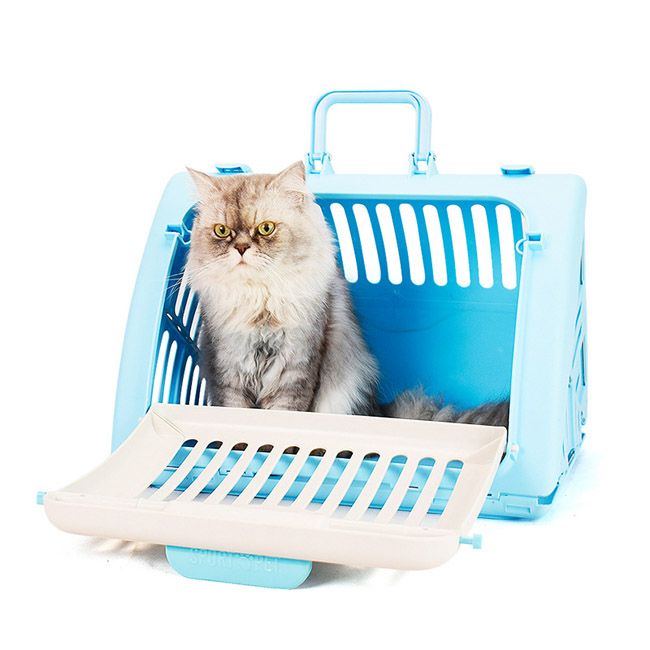 triangle cat carrier