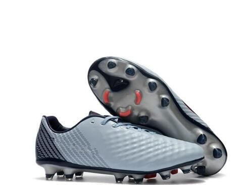 magista 2019