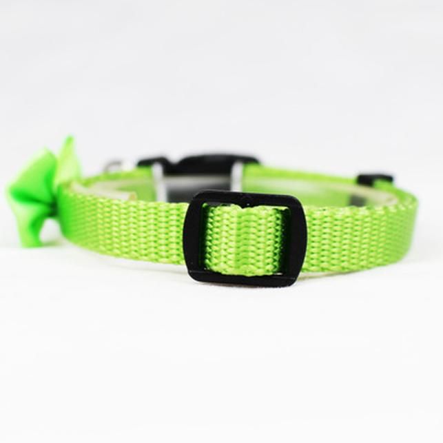 shock collar for humans