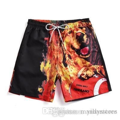 mens novelty swim trunks