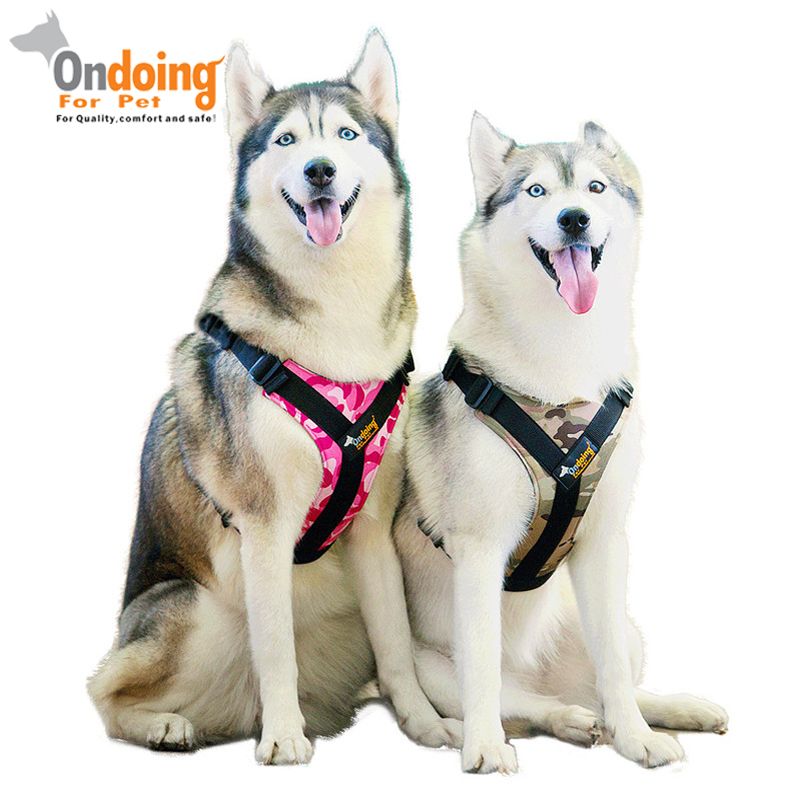 2019 Professional Pet Dog Harness Vest Collar Outdoor Walking