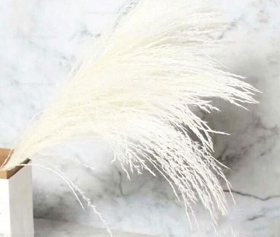 2020 Artificial Grass Ifg White Artificial Pampas Grass High