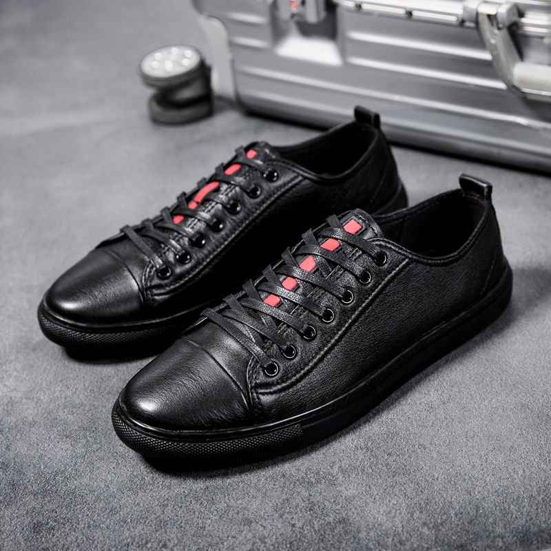 talon homme 2019