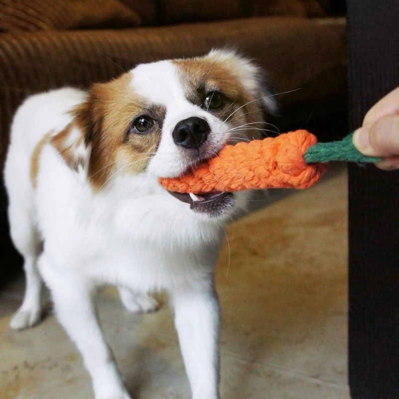 best selling dog toys
