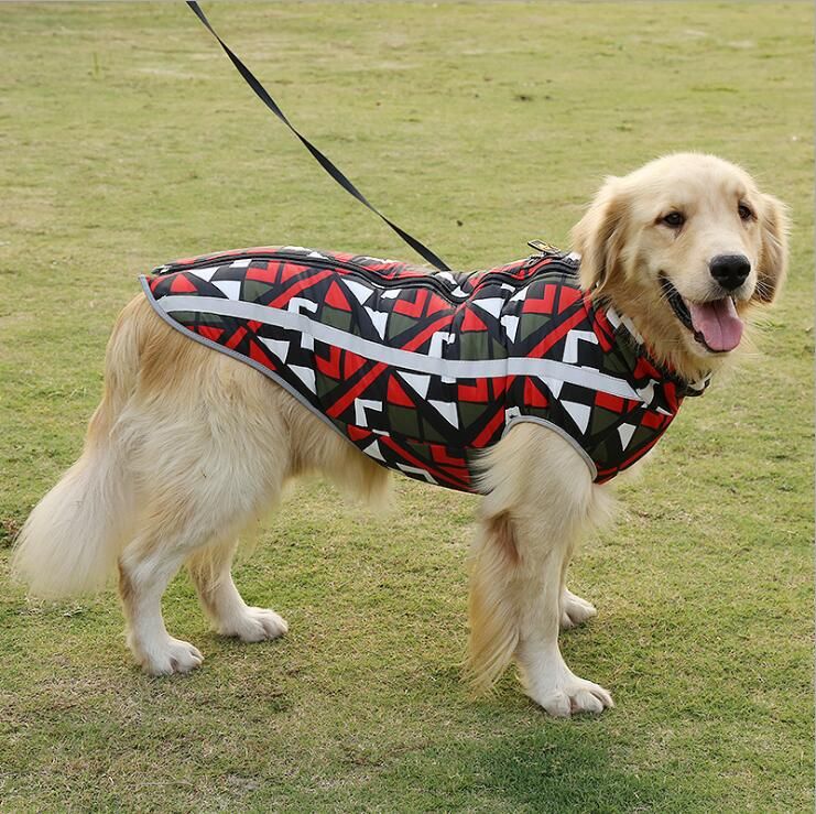 large dog jackets