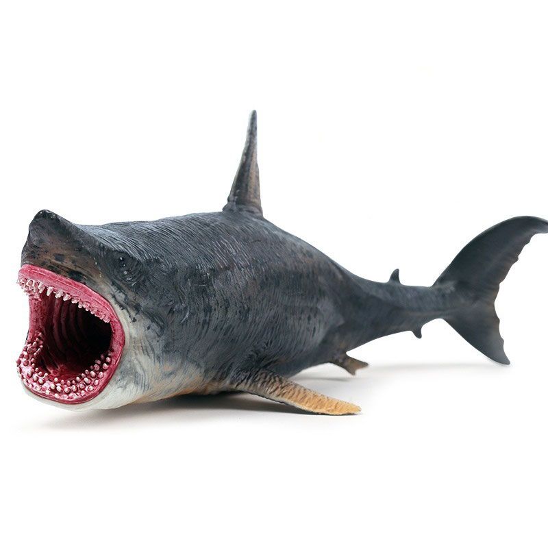 big toy shark
