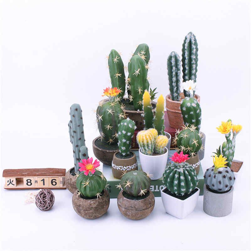 cactus home decor items