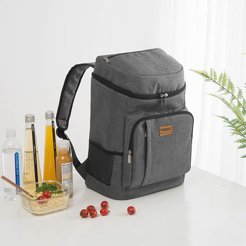 dry ice insulated bag