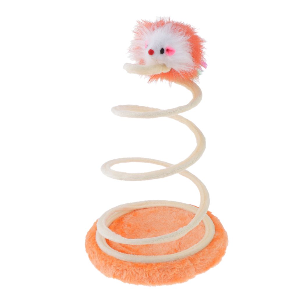 cat spring toy