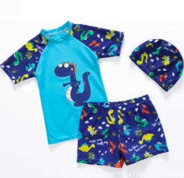 #1 Dinosaur Boy Swimsuits