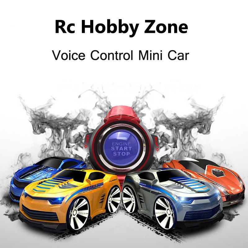 voice remote control car