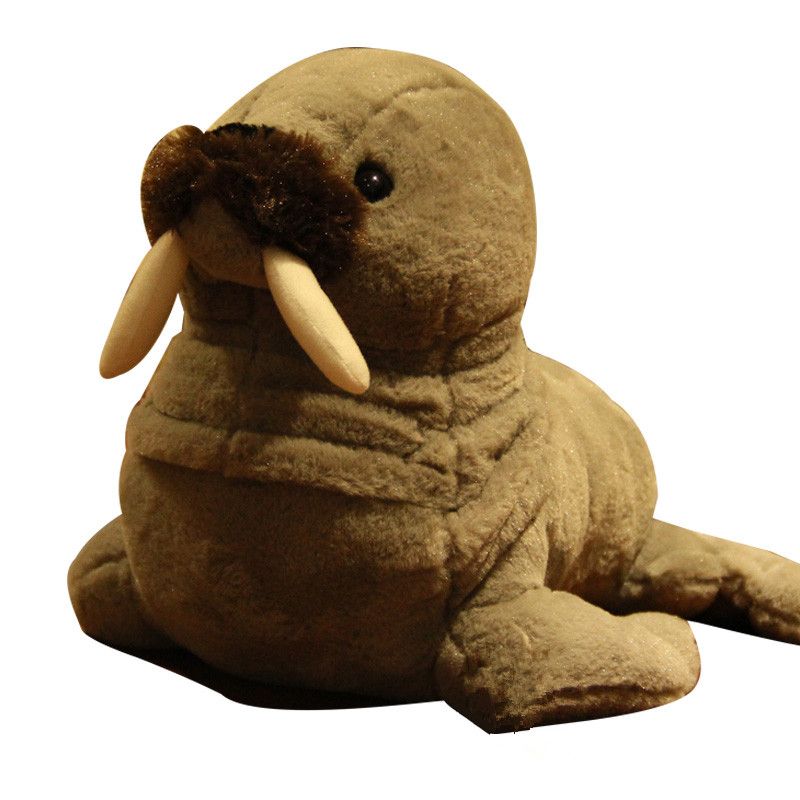 stuffed walrus toy