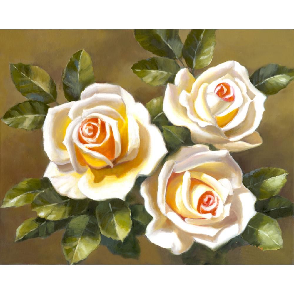21 Hand Painted Beautiful Oil Paintings White Roses Still Life Artwork For Dinning Room Home Decor From Reeme 105 11 Dhgate Com