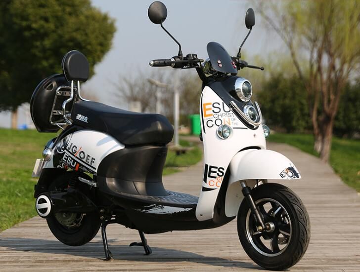 turtle king ebike price