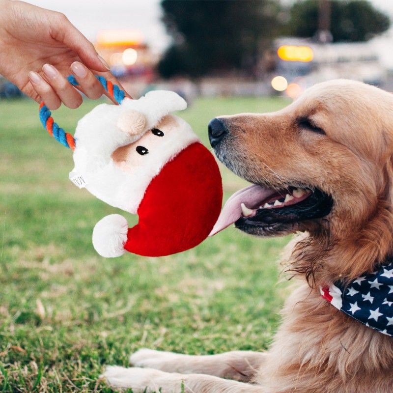 dog xmas toys