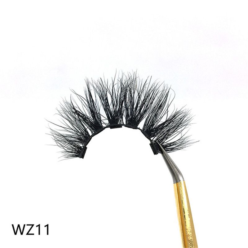 WZ11