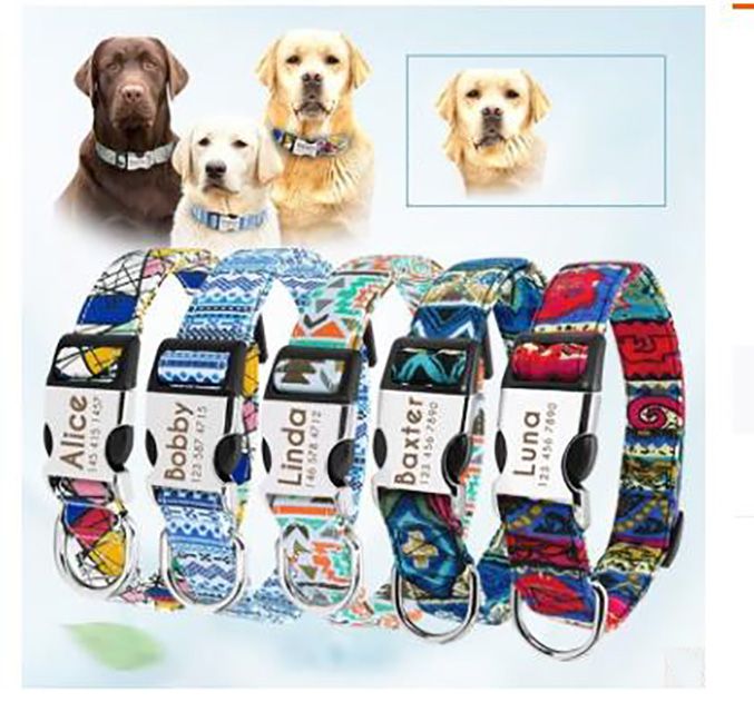 beagle collars with name plates
