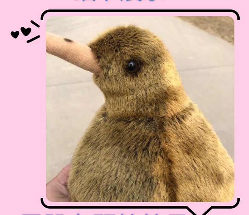 Acheter Big Simulation Kiwi Oiseau Poupée Animal Kiwi Oiseau En Peluche Jouets Animaux Réalistes En Peluche Jouets Cadeaux Deco 20 Pouce 50 Cm Dy50603