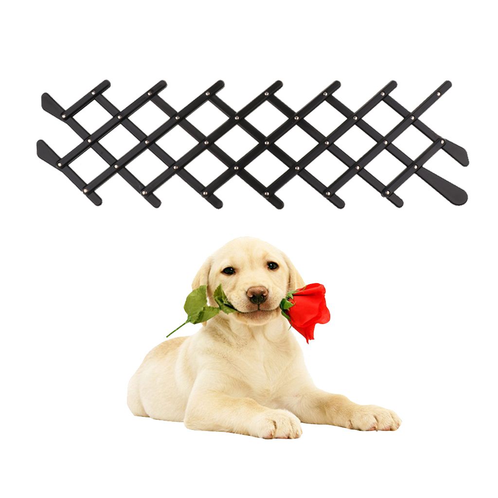 pet safety fence