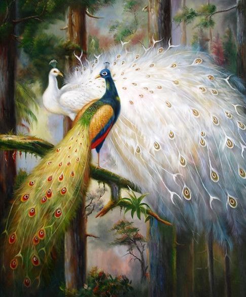  Animal peacock Phoenix Top Handpainted Handcrafts Art Oil  Painting & HD Print Art Oil Painting On Canvas Wall Pictures