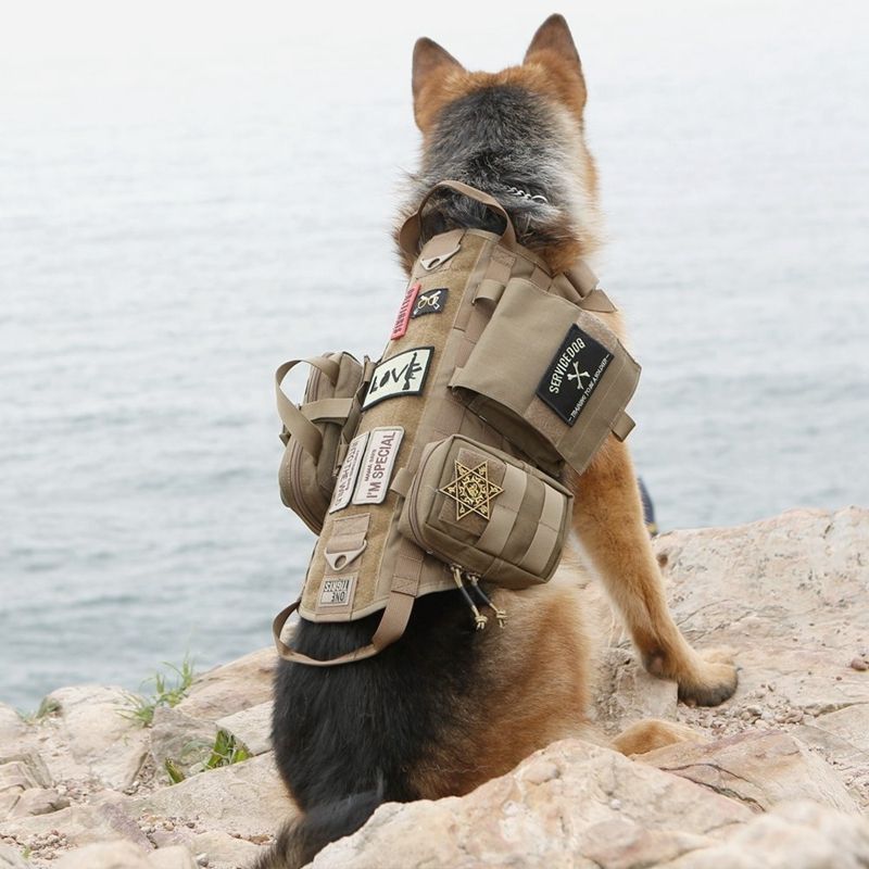 tactical dog vest with pouches