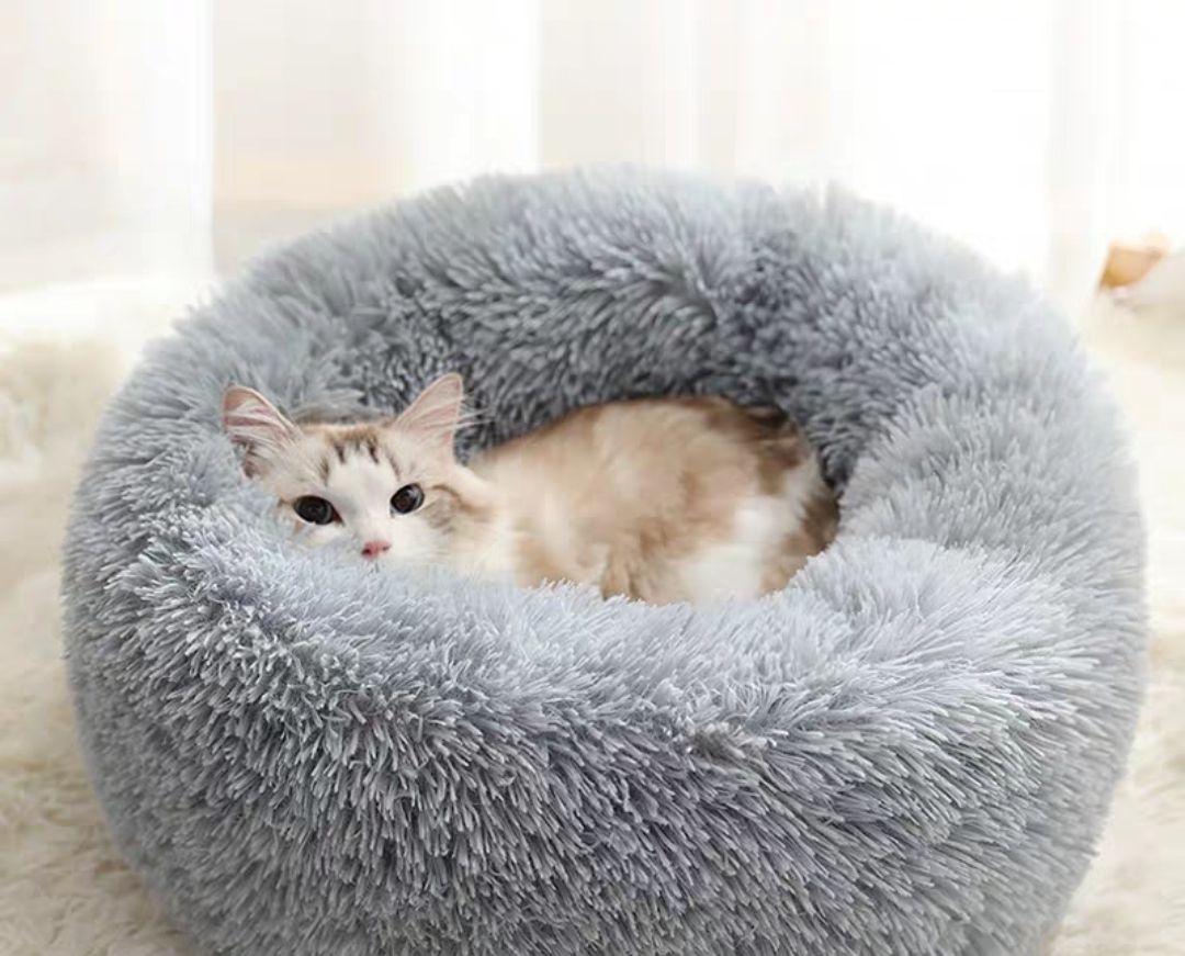 double cat bed prices