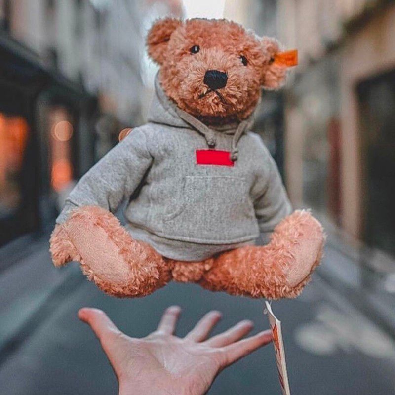 supreme box logo bear