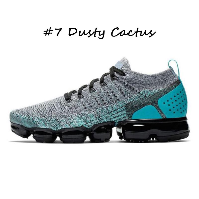 #7 Dusty Cactus