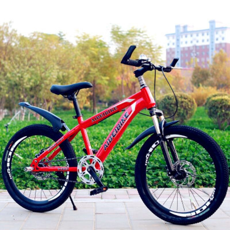 22 inch mountain bike