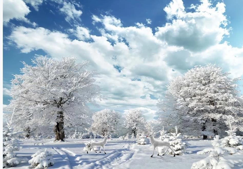 Kar Manzarasi Wallpaper