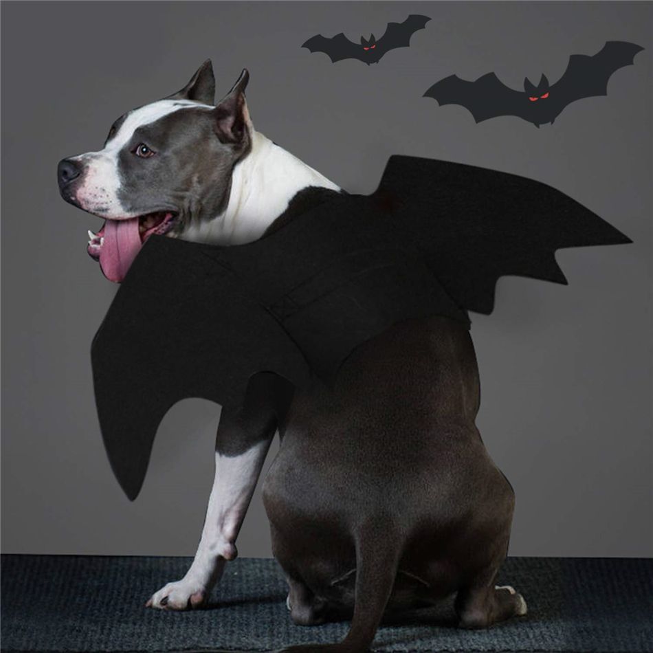 Dog Bat Costume Christmas Halloween Pet Costume Bat Wings Cosplay Dog