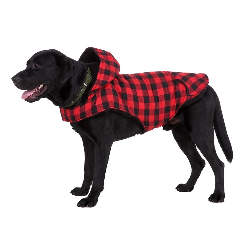 dog plaid shirt