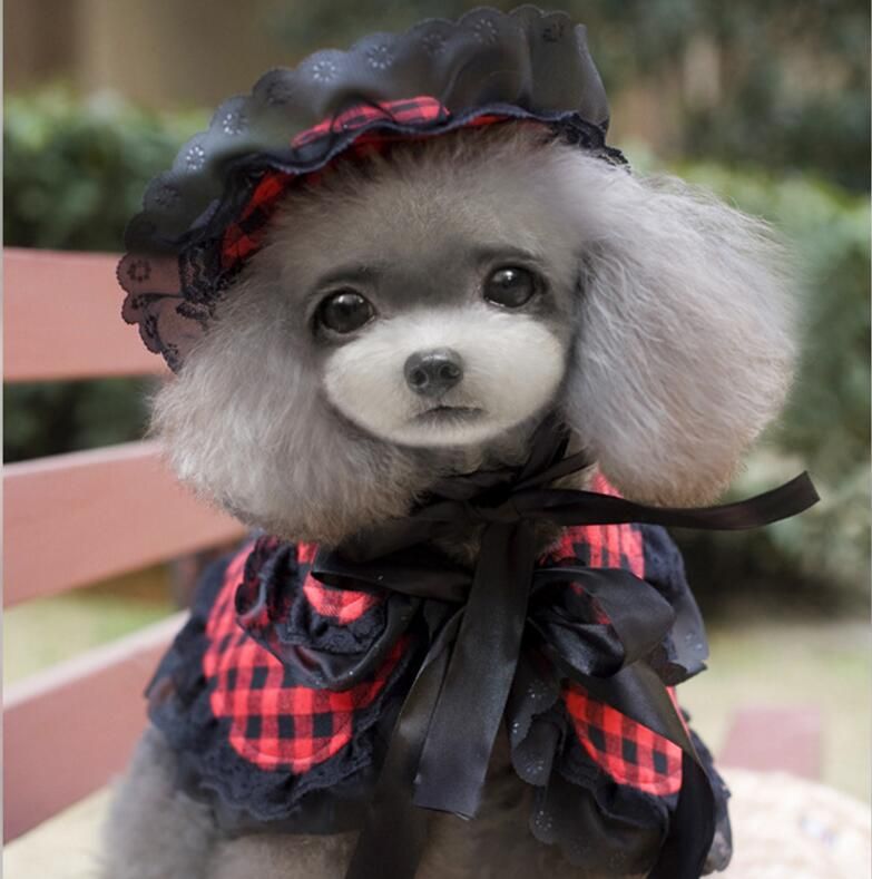 Compre Invierno Primavera Fleece Mascota Perros Ropa Para Cachorro Bulldog Frances Abrigo Pug Disfraces Chaqueta Para Perros Pequenos Chihuahua Ropa Para Perro A 8 02 Del Lovelyhome1990 Es Dhgate Com