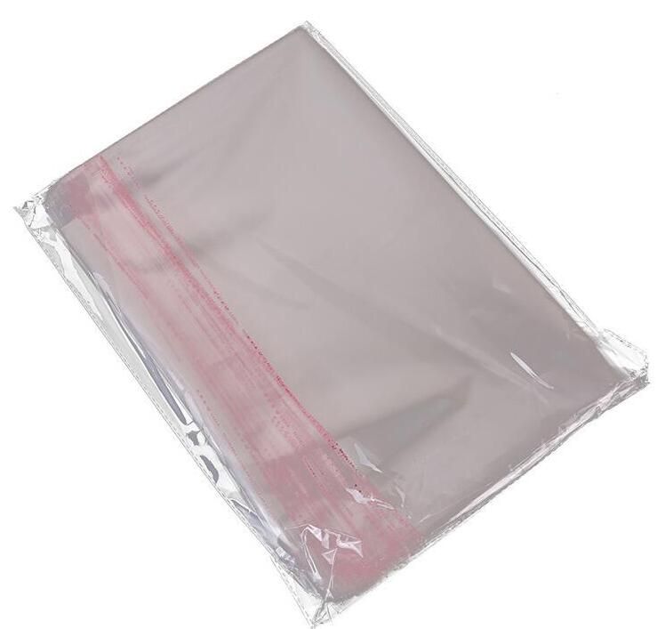 disposable bag