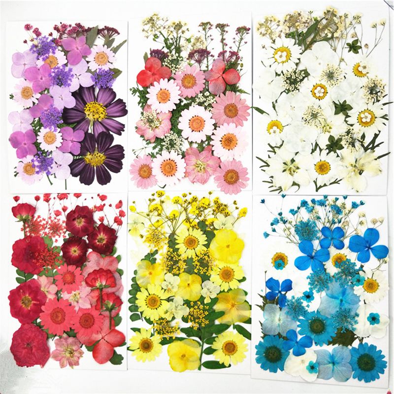 2019 Flores prensadas pequeñas Flores secas Scrapbooking seco DIY Decoración de flores preservadas Inicio Mini bloemen 2019 Flores prensadas pequeñas Flores secas Scrapbooking seco DIY Decoración de flores preservadas Inicio Mini bloemen