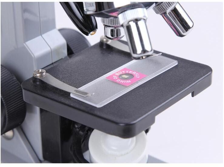 Buy Wholesale China Microscope Monoculaire 400 X