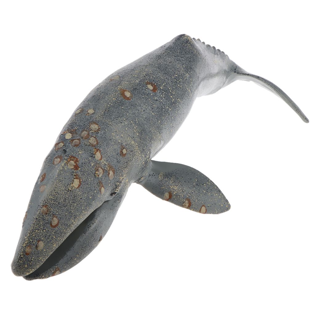 2 Piezas De Figuras De Acción De Animales De Ballena 2 Piezas De Figuras De Acción De Animales De Ballena