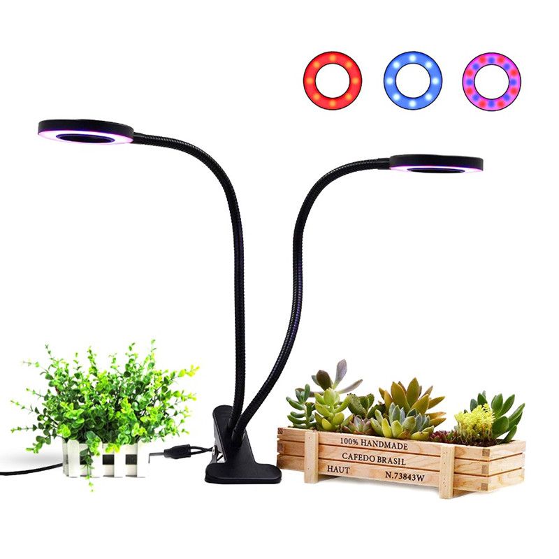 desktop grow light