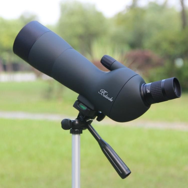 best magnification for bird watching
