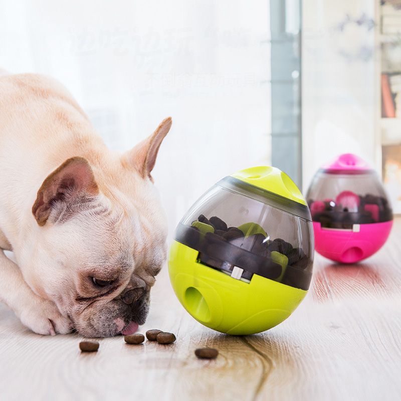 dog feeding puzzle