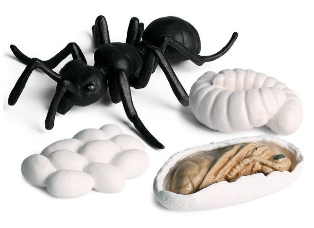ant toy