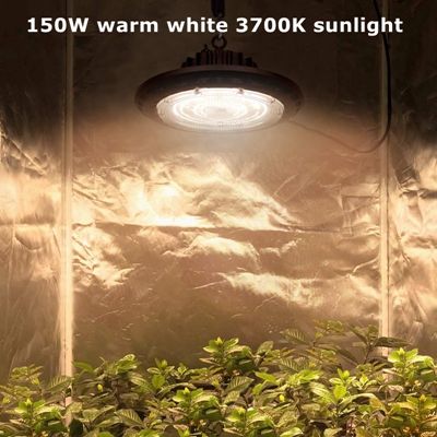 150W warm white 3700K