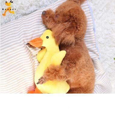 free duck dolls