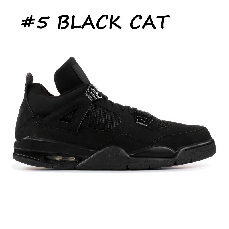 5 schwarze Katze