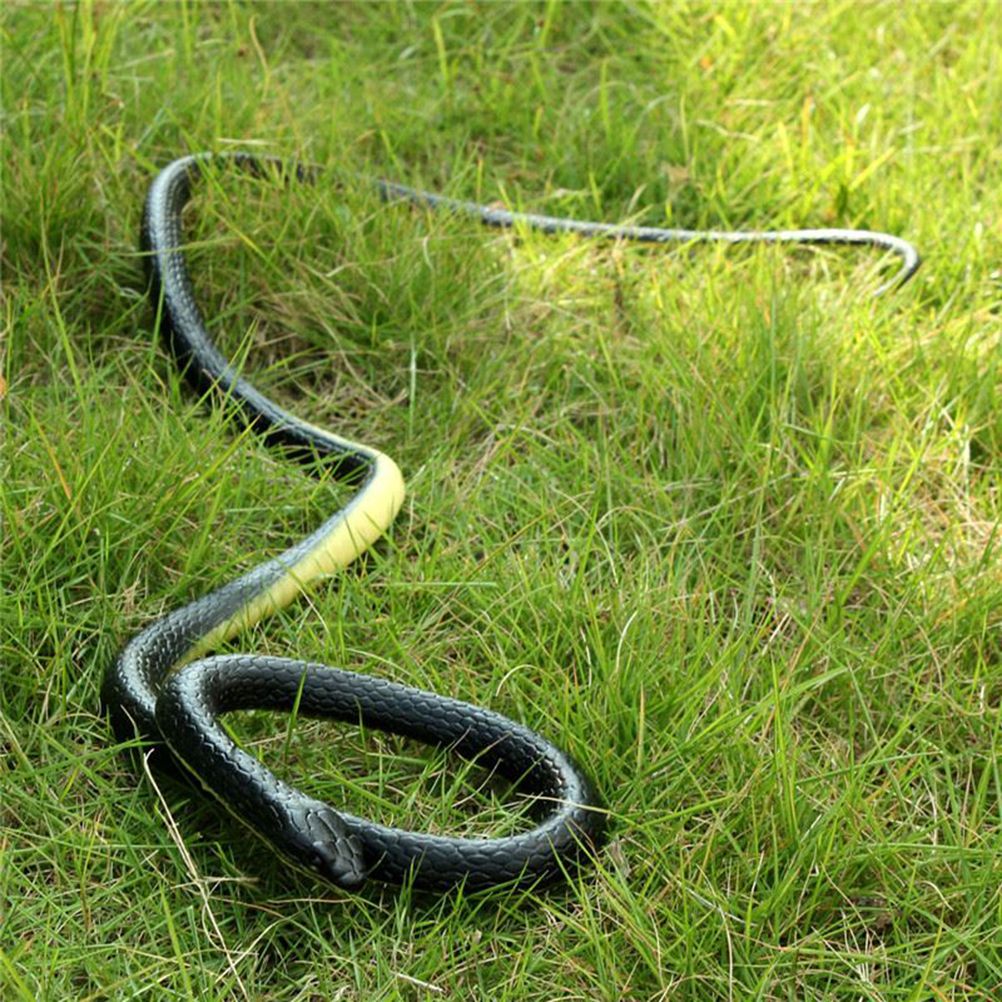 soft rubber snake